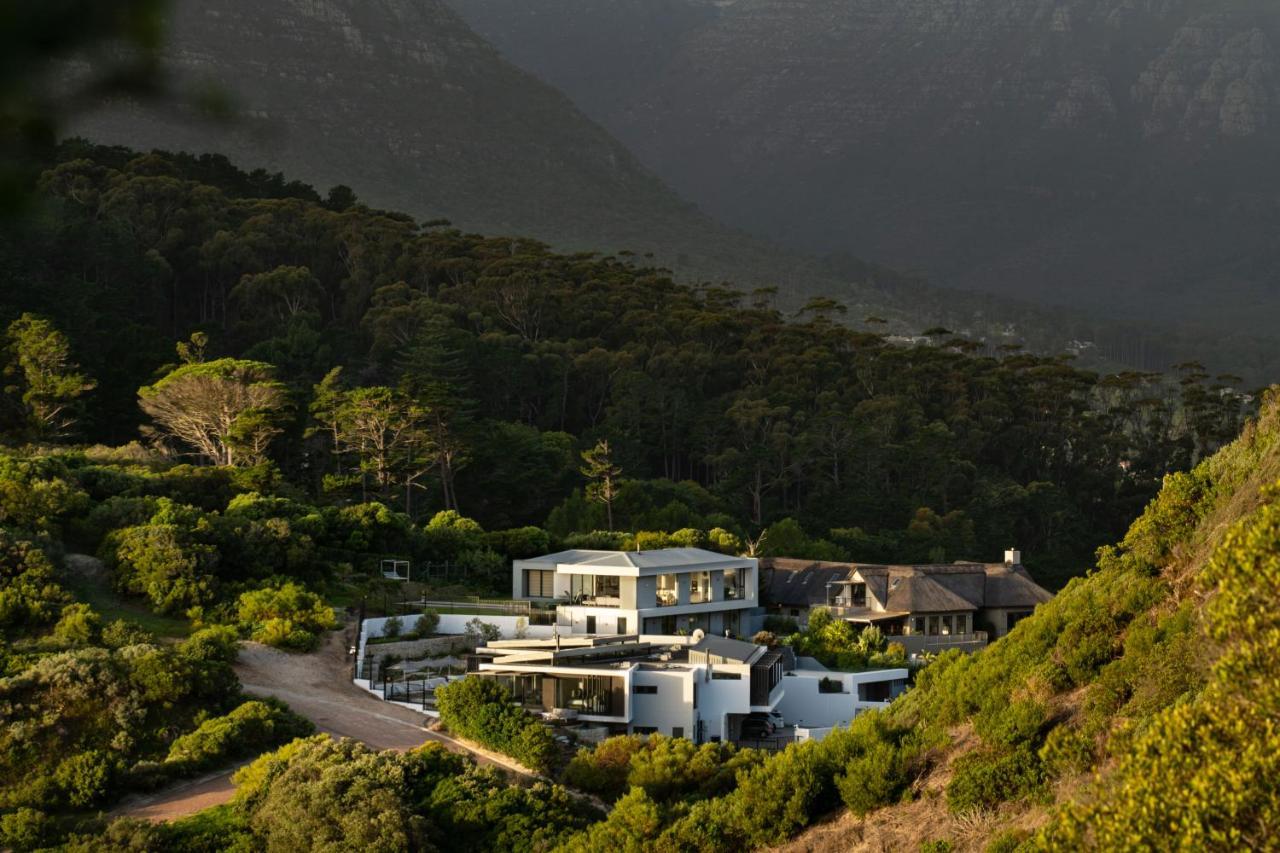 Vyn Hout Bay