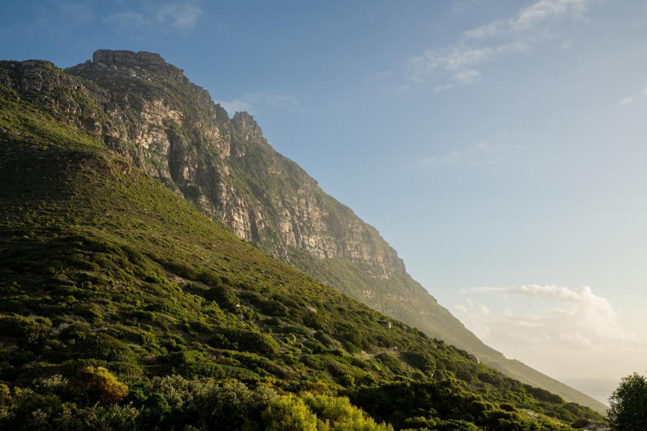 Vyn * Hout Bay